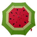 Watermelon Fruit Food Healthy Vitamins Nutrition Hook Handle Umbrellas (Small) View1