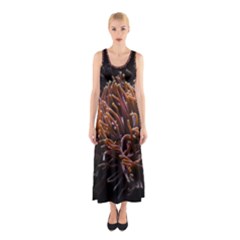 Sea Anemone Coral Underwater Ocean Sea Water Sleeveless Maxi Dress by pakminggu