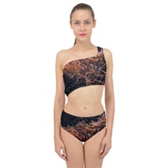 Sea Anemone Coral Underwater Ocean Sea Water Spliced Up Two Piece Swimsuit by pakminggu