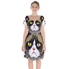 Grumpy Cat Short Sleeve Bardot Dress by Mog4mog4