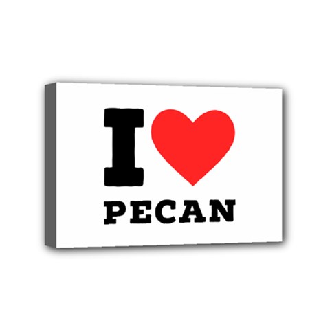 I Love Pecan Mini Canvas 6  X 4  (stretched) by ilovewhateva