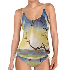 1 (202) Tankini Set by LeRoyJacks