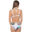 Ladybug-flower-pattern-shabby-chic Double Strap Halter Bikini Set View2