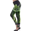 Drink Spinach Smooth Apple Ginger Lightweight Velour Leggings View3