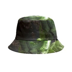 Drink Spinach Smooth Apple Ginger Bucket Hat by Ndabl3x