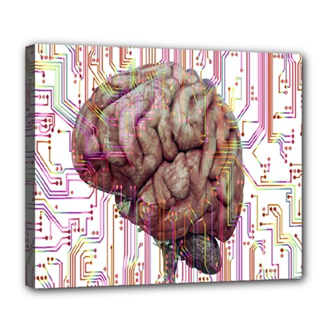 Brain Think Neurons Circuit Deluxe Canvas 24  X 20  (stretched) by Wav3s