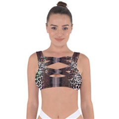 Leopard Animal Shawl Honeycomb Bandaged Up Bikini Top by Vaneshop