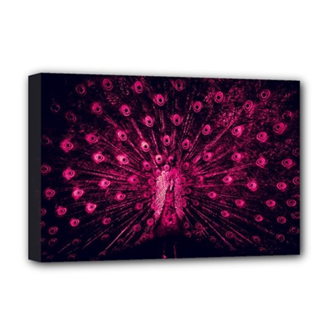 Peacock Pink Black Feather Abstract Deluxe Canvas 18  X 12  (stretched) by Wav3s