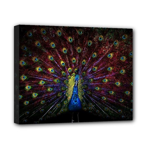 Peacock Feathers Canvas 10  X 8  (stretched) by Wav3s