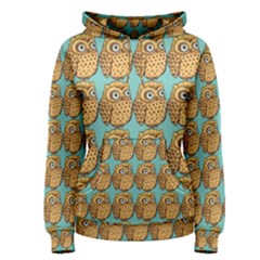 Owl Bird Pattern Women s Pullover Hoodie by Vaneshop