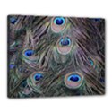 Peacock Feathers Peacock Bird Feathers Canvas 20  x 16  (Stretched) View1