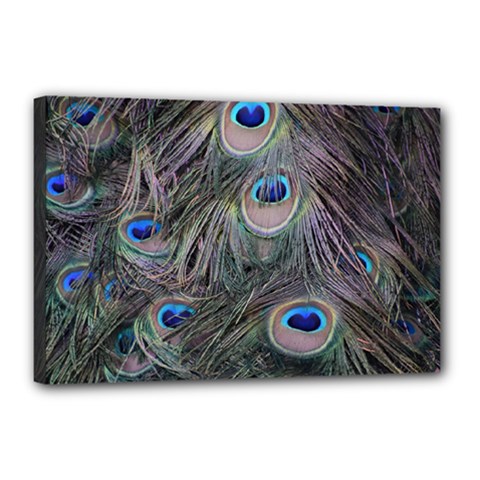 Peacock Feathers Peacock Bird Feathers Canvas 18  X 12  (stretched) by Ndabl3x