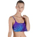 Realistic Night Sky With Constellations Layered Top Bikini Top  View1