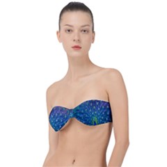 Amazing Peacock Classic Bandeau Bikini Top  by Simbadda