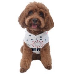 Independence Day Usa Dog Sweater by Ravend