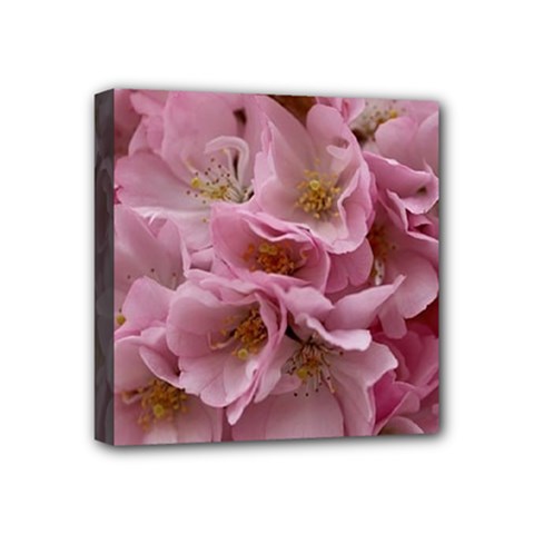 Cherry-blossoms Mini Canvas 4  X 4  (stretched) by Excel