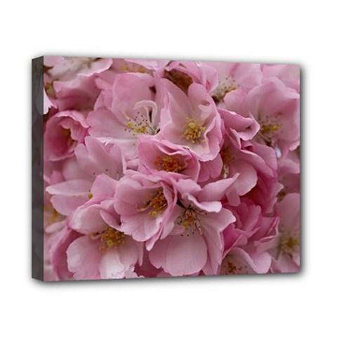 Cherry-blossoms Canvas 10  X 8  (stretched) by Excel