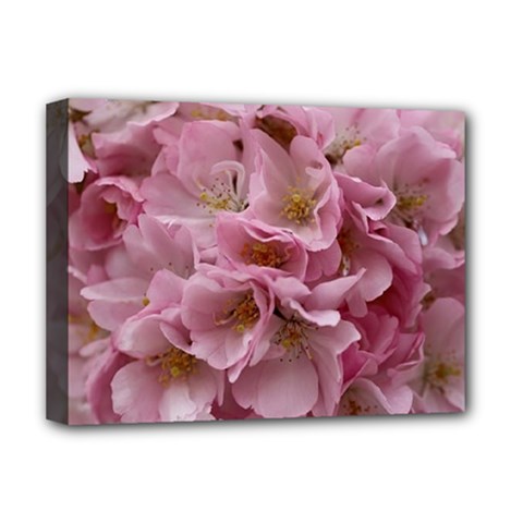 Cherry-blossoms Deluxe Canvas 16  X 12  (stretched)  by Excel