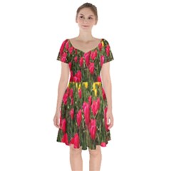 Yellow Pink Red Flowers Short Sleeve Bardot Dress by artworkshop