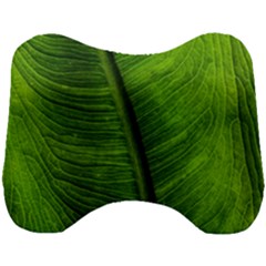 Green-leaf-plant-freshness-color Head Support Cushion by Bedest