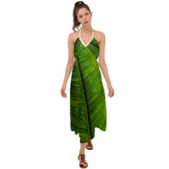 Green-leaf-plant-freshness-color Halter Tie Back Dress  by Bedest