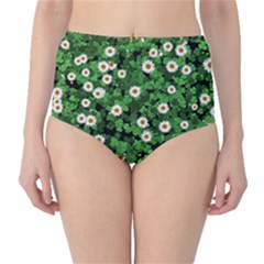 Daisies Clovers Lawn Digital Drawing Background Classic High-waist Bikini Bottoms by Ravend