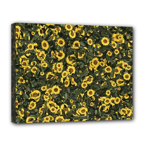 Sunflowers Yellow Flowers Flowers Digital Drawing Canvas 14  X 11  (stretched) by Ravend