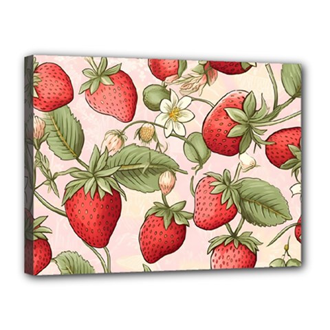 Strawberry Fruit Canvas 16  X 12  (stretched) by Bedest