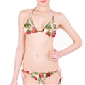 Strawberry Fruit Classic Bikini Set View1