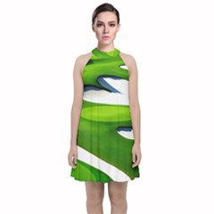 Golf Course Par Green Velvet Halter Neckline Dress  by Sarkoni