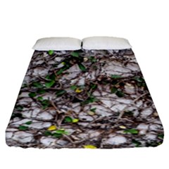 Climbing Plant At Outdoor Wall Fitted Sheet (queen Size) by dflcprintsclothing