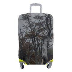 Nature s Resilience: Tierra Del Fuego Forest, Argentina Luggage Cover (small) by dflcprintsclothing