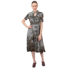 Nature s Resilience: Tierra Del Fuego Forest, Argentina Keyhole Neckline Chiffon Dress by dflcprintsclothing