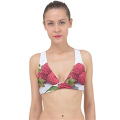 Fruit-healthy-vitamin-vegan Classic Banded Bikini Top by Ket1n9