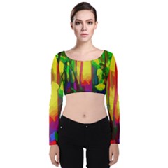 Abstract-vibrant-colour-botany Velvet Long Sleeve Crop Top by Ket1n9