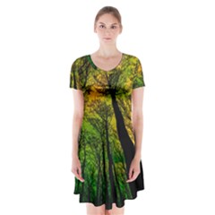 Landscape Night Moon Star Nature Short Sleeve V-neck Flare Dress by Pakjumat