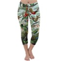 Humming Birds Trochilidae Capri Winter Leggings  View1