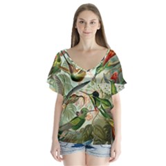 Humming Birds Trochilidae V-neck Flutter Sleeve Top by Pakjumat