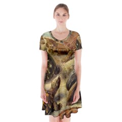 Turtles Leatherback Sea Turtle Short Sleeve V-neck Flare Dress by Pakjumat