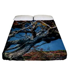 Botanical Wonders Of Argentina  Fitted Sheet (queen Size) by dflcprintsclothing