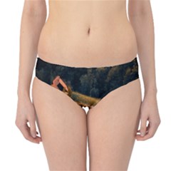 Vineyard Agriculture Farm Autumn Hipster Bikini Bottoms by Sarkoni