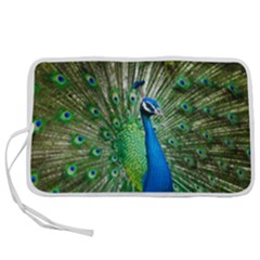 Peafowl Peacock Pen Storage Case (s) by Sarkoni