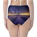 Bed Of Purple Petaled Flowers Photography Landscape Nature Classic High-Waist Bikini Bottoms View2