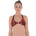 Colorful Prismatic Chromatic Halter Neck Bikini Top View1