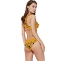 Adventure Time Jake The Dog Low Cut Ruffle Edge Bikini Set View3