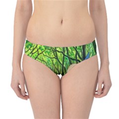 Anime My Neighbor Totoro Jungle Hipster Bikini Bottoms by Sarkoni