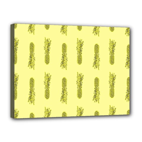 Yellow Pineapple Canvas 16  X 12  (stretched) by ConteMonfrey