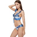 Cat Low Cut Ruffle Edge Bikini Set View2