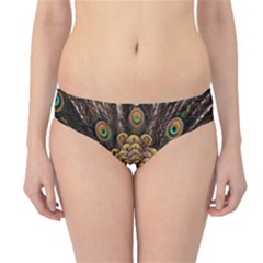 Peacock Feathers Wheel Plumage Hipster Bikini Bottoms by Ket1n9