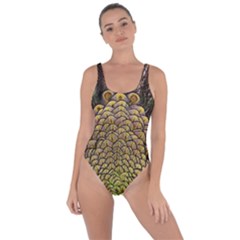 Peacock Feathers Wheel Plumage Bring Sexy Back Swimsuit